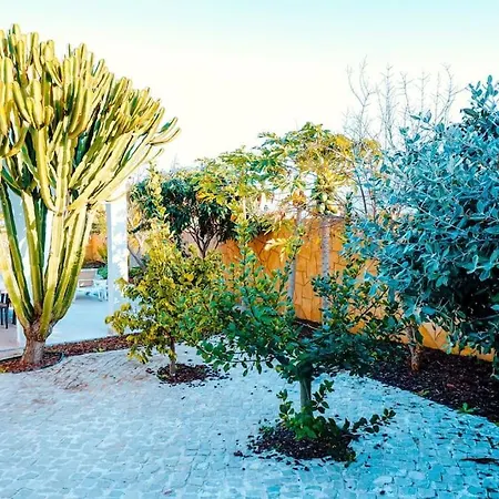 Natura - The Oasis Dream Villa *